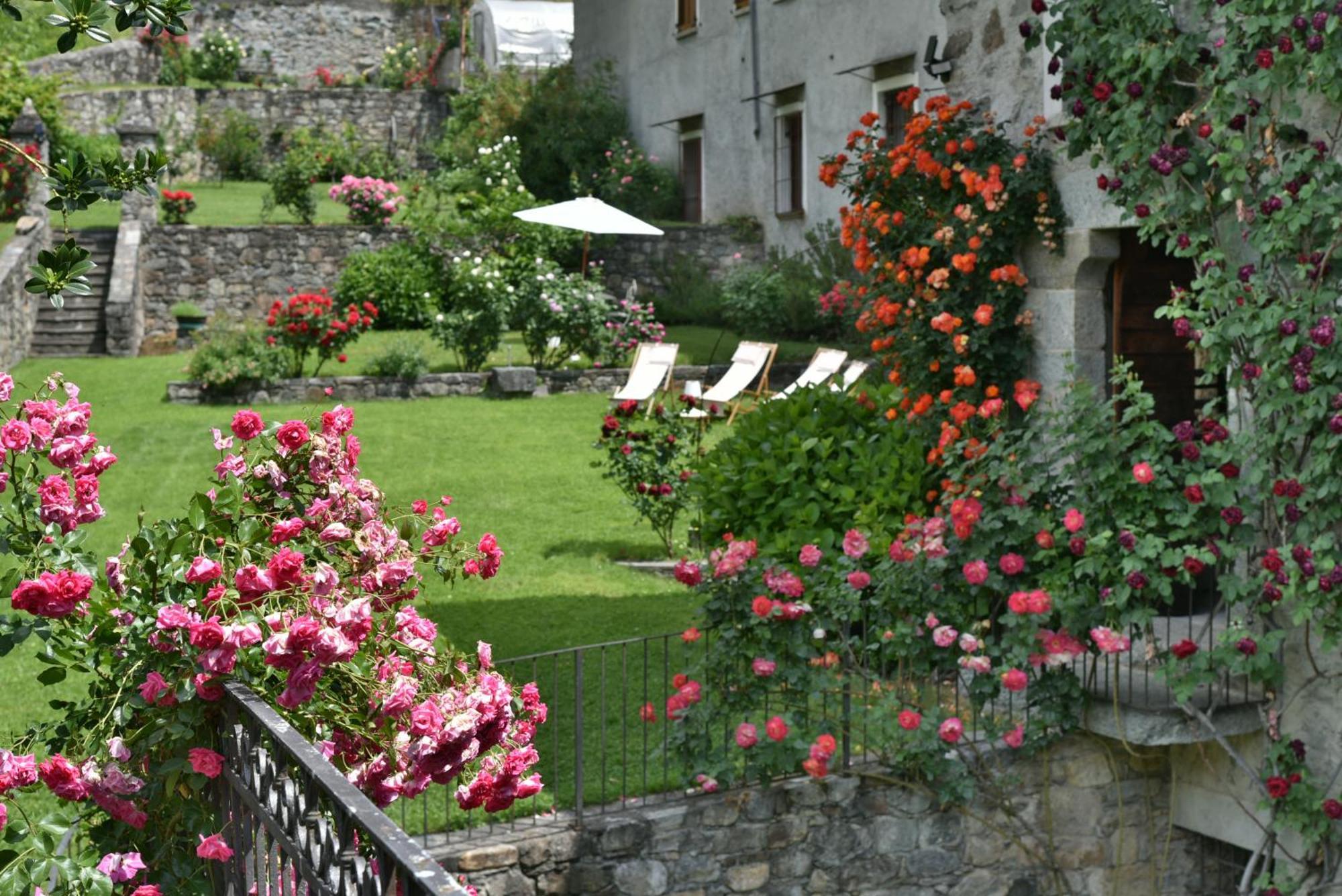 Villa Piano Nobile Al Roseto Del Drago San Bernardo  Exterior foto